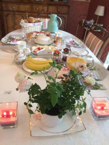 Pension Roseneck Wolfshagen  Экстерьер фото